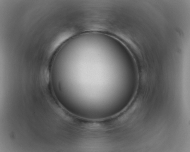X0000114691317200910211304