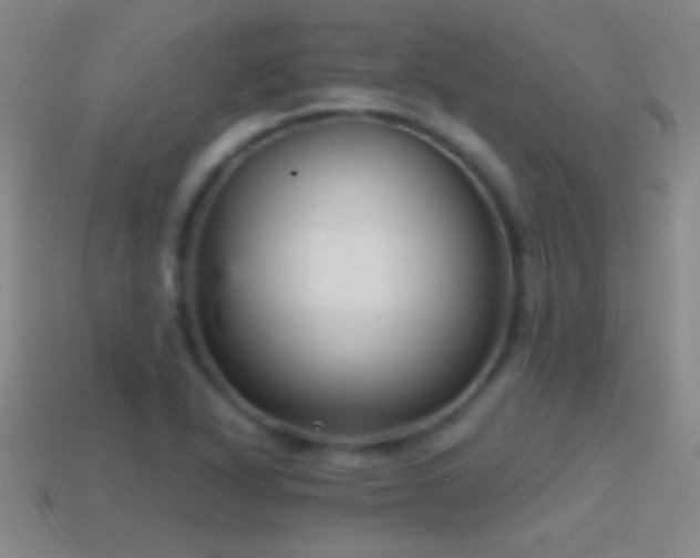 X0000114691318200910211304