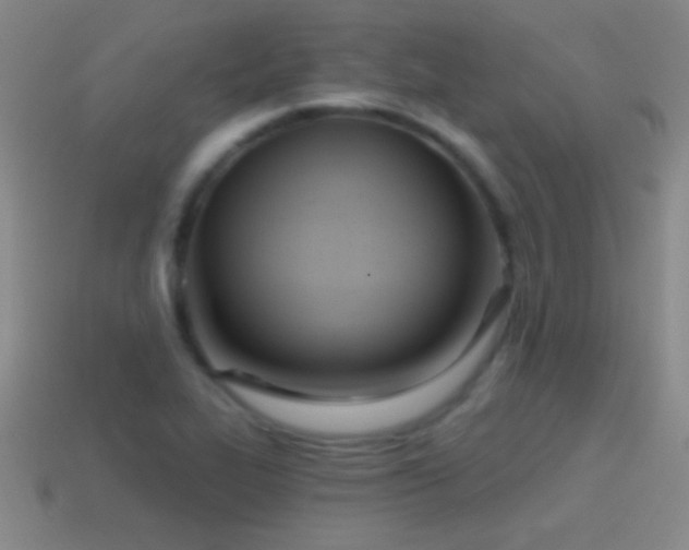 X0000114691319200910211304
