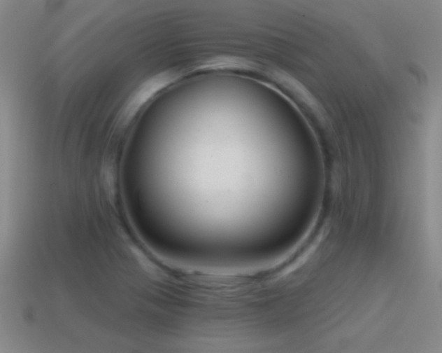 X0000114691321200910211304