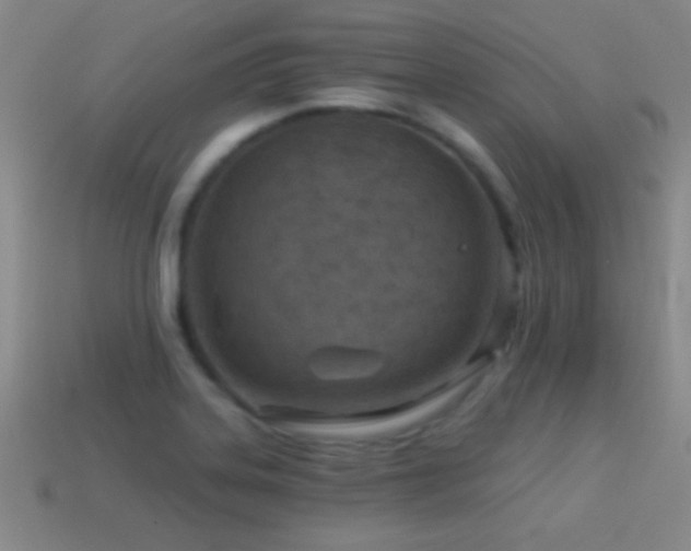 X0000114691323200910211304