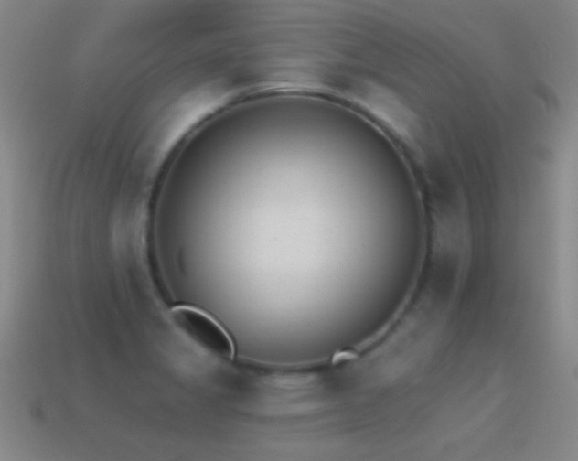 X0000114691325200910211304