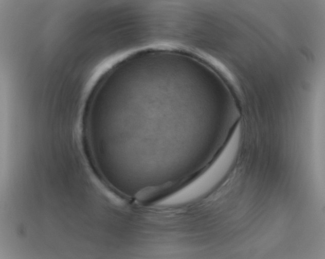 X0000114691327200910211304