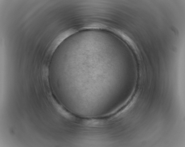 X0000114691329200910211304