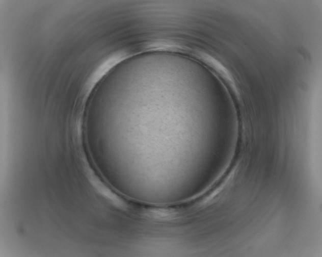 X0000114691330200910211304