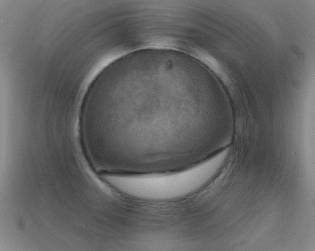 X0000114691331200910211304