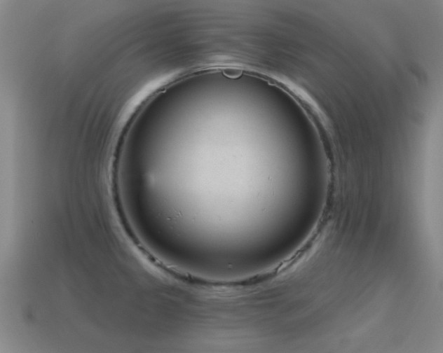 X0000114691333200910211304
