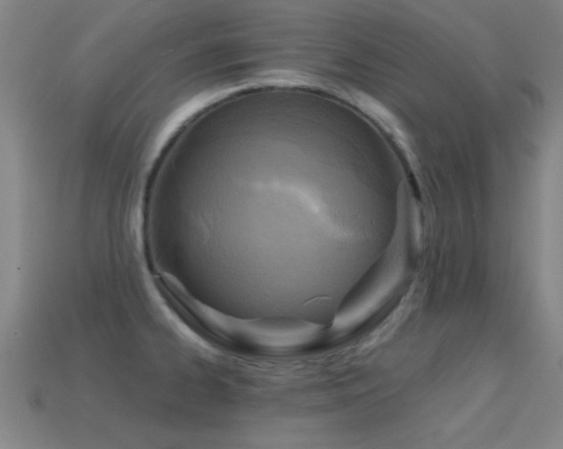 X0000114691334200910211304