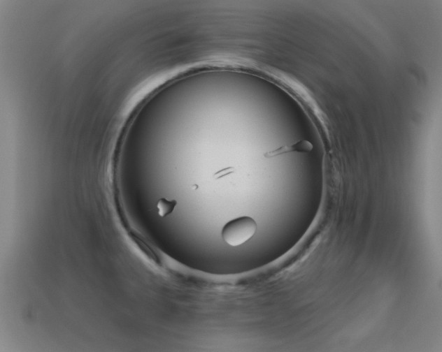 X0000114691335200910211304