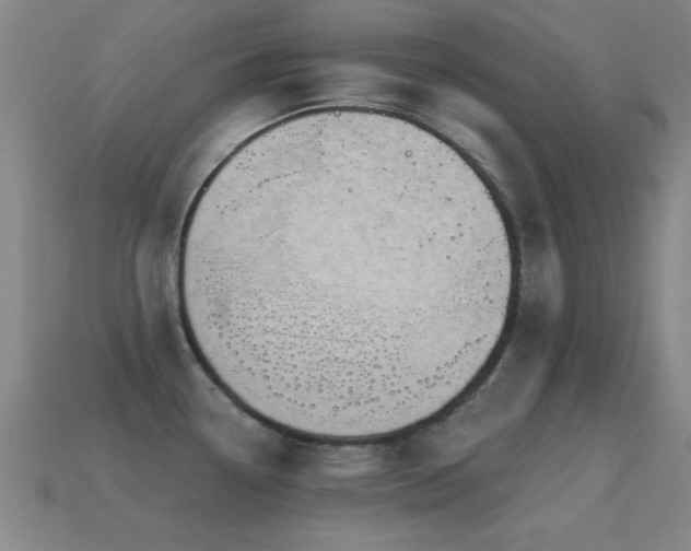 X0000114691338200910211304