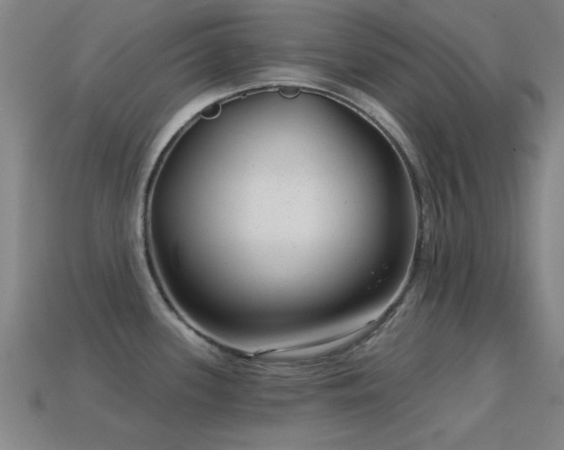 X0000114691339200910211304