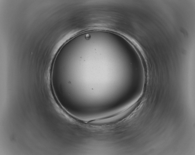 X0000114691341200910211304