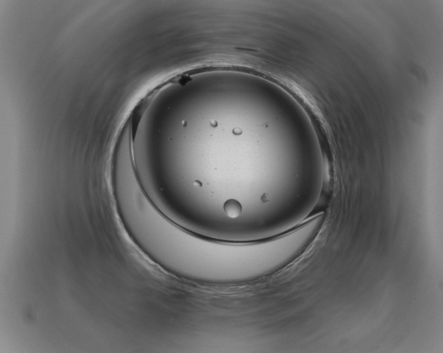 X0000114691342200910211305