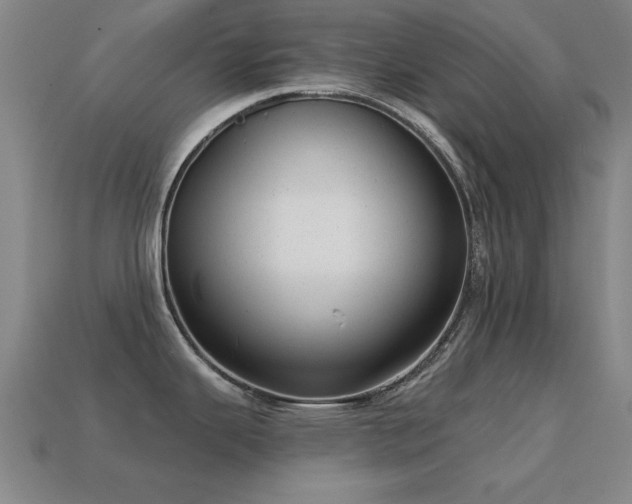 X0000114691343200910211305