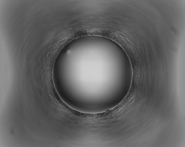 X0000114691345200910211304