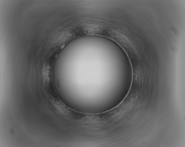 X0000114691346200910211304