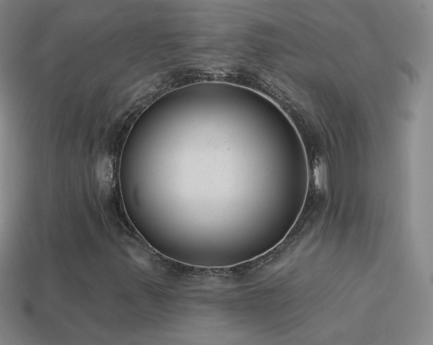 X0000114691347200910211304