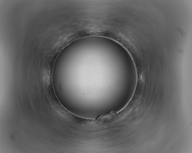 X0000114691348200910211304