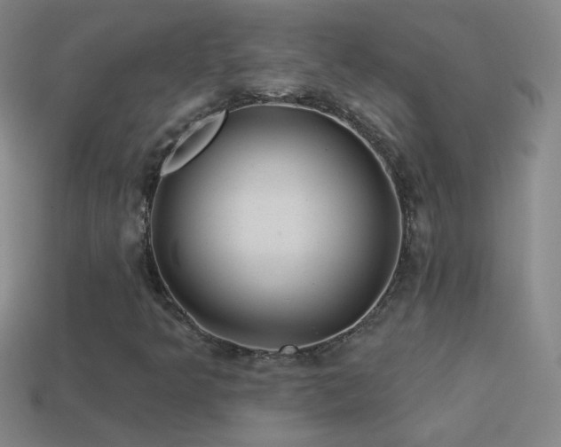 X0000114691349200910211304