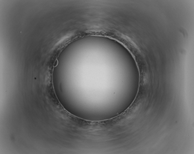 X0000114691350200910211304