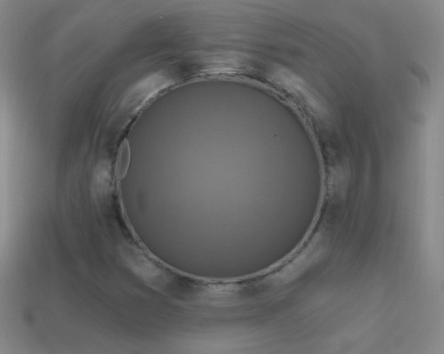 X0000114691353200910211304