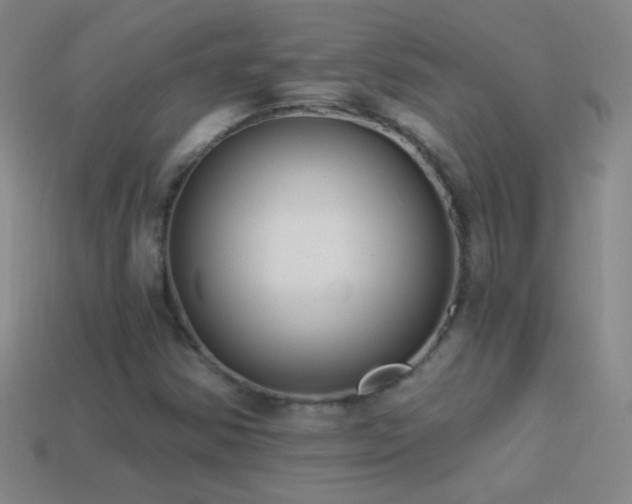 X0000114691354200910211304