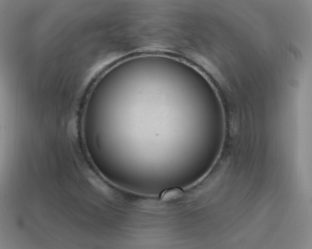 X0000114691356200910211304