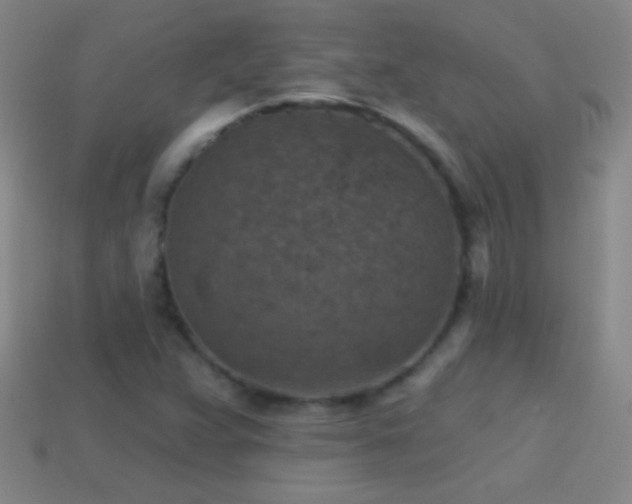 X0000114691359200910211304