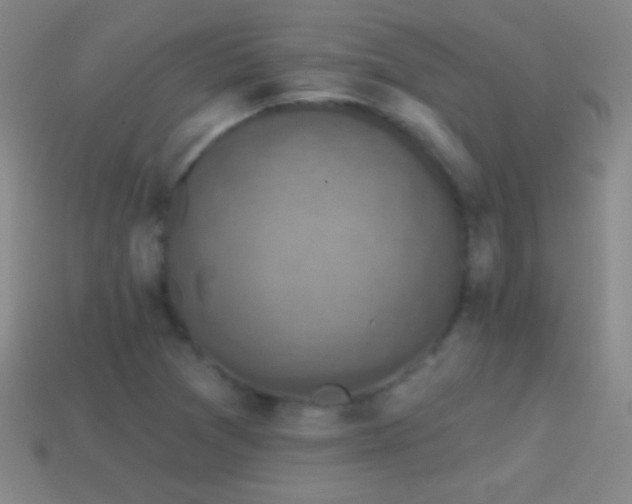 X0000114691361200910211304