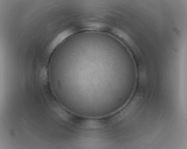 X0000114691362200910211304