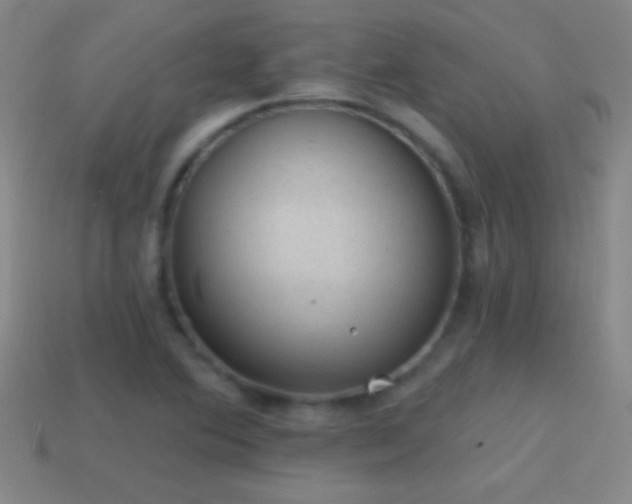 X0000114691364200910211304