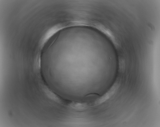 X0000114691365200910211303