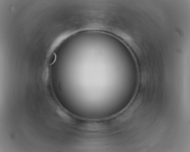 X0000114691366200910211303