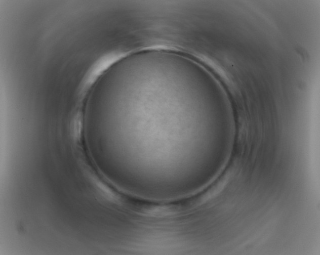 X0000114691367200910211303