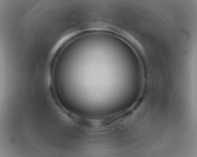X0000114691368200910211303