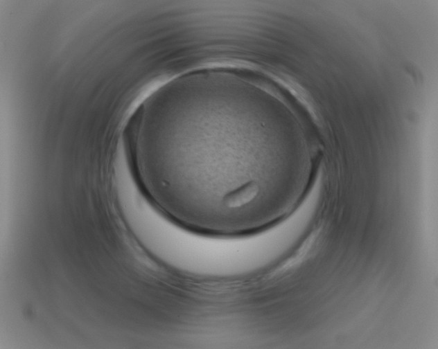 X0000114691369200910211303