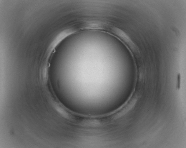 X0000114691370200910211303