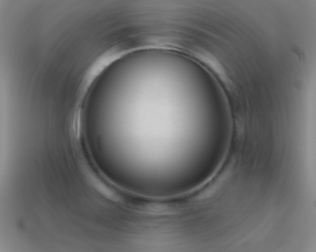 X0000114691371200910211303
