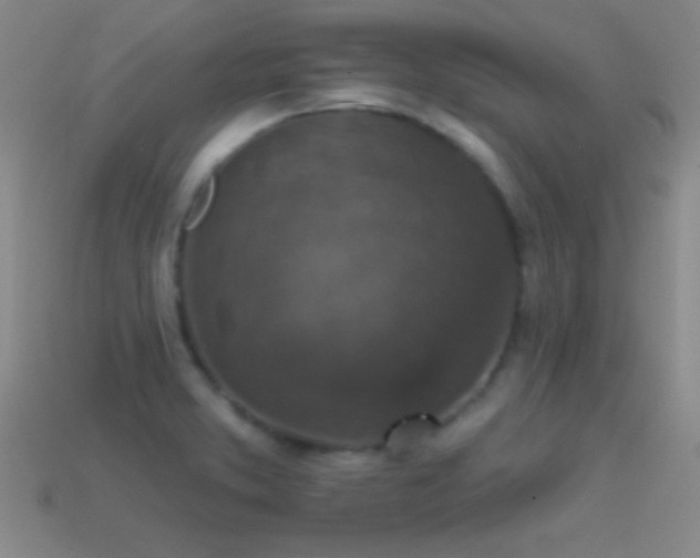 X0000114691373200910211303