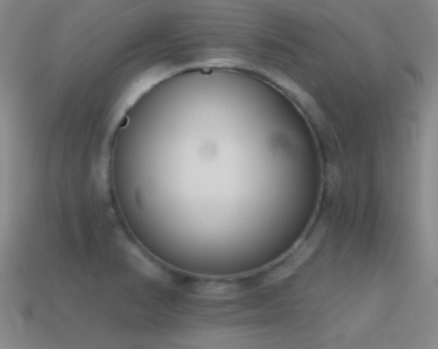 X0000114691374200910211303