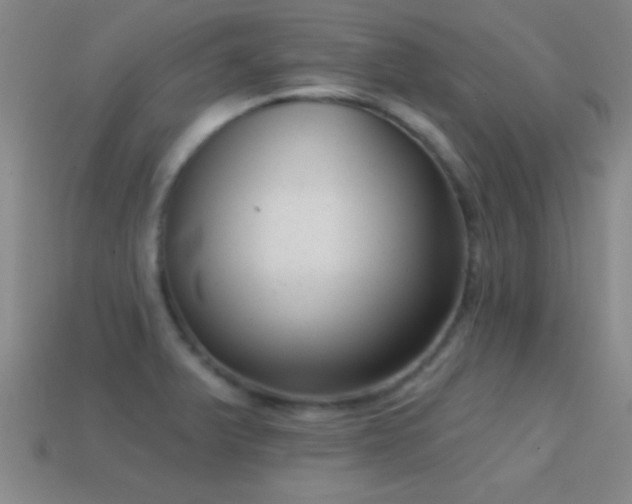X0000114691375200910211303