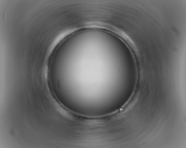 X0000114691376200910211303