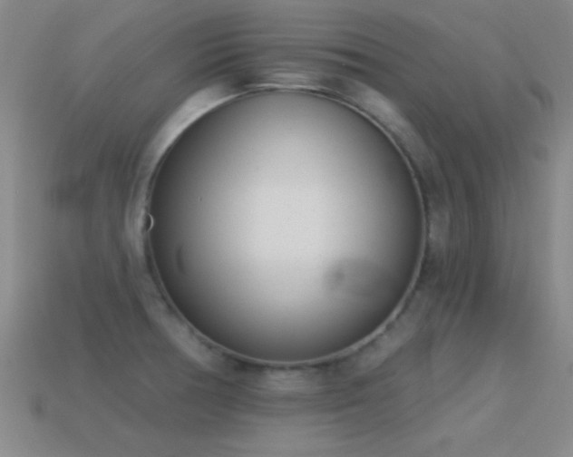 X0000114691378200910211303