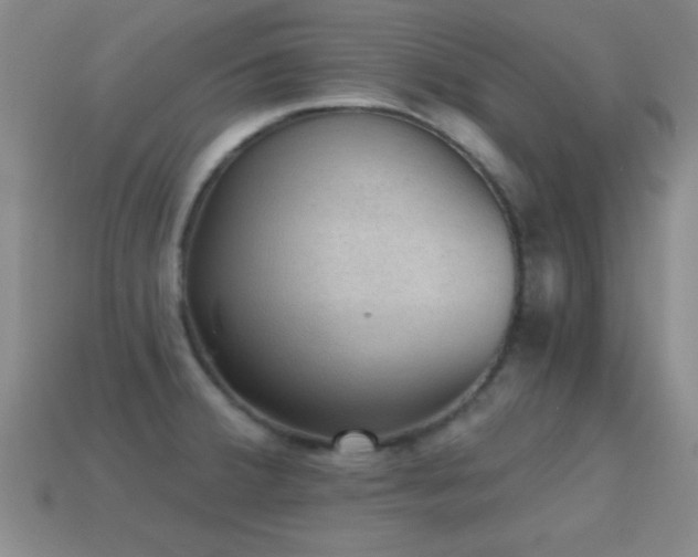 X0000114691380200910211303