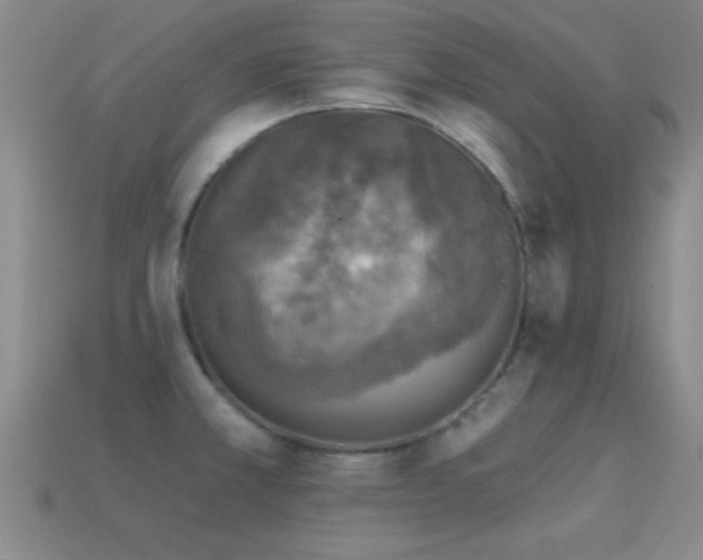 X0000114691381200910211303