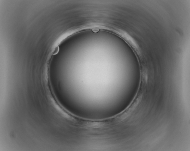 X0000114691382200910211303