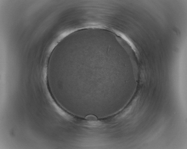 X0000114691383200910211303