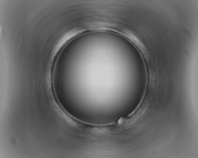 X0000114691384200910211303