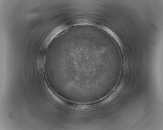 X0000114691385200910211303