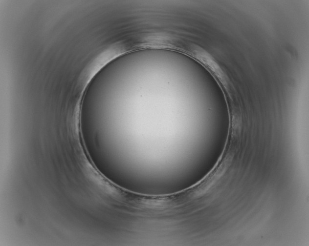 X0000114691386200910211303